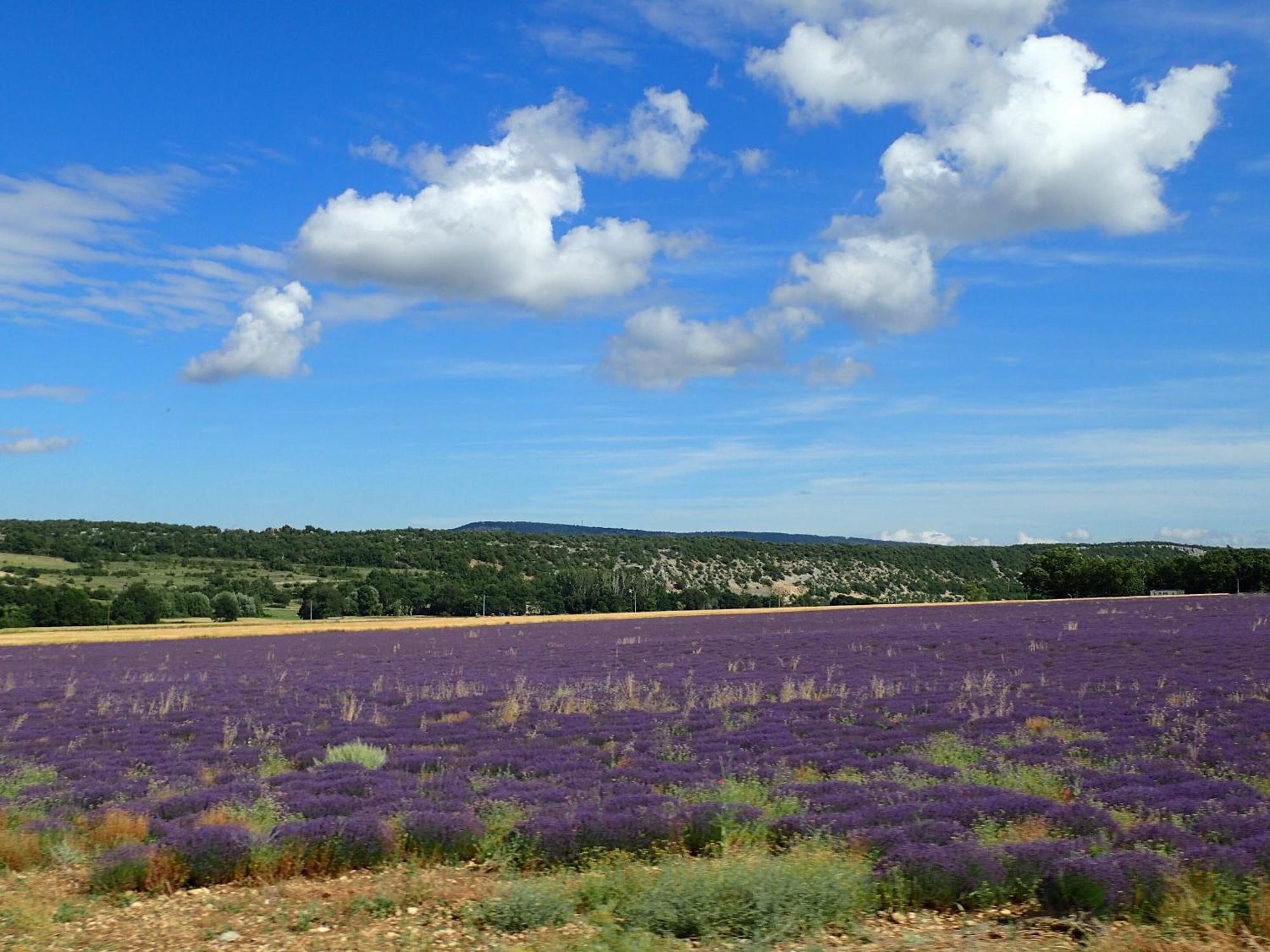 Gite De L'Aspa Saint-Christol  エクステリア 写真