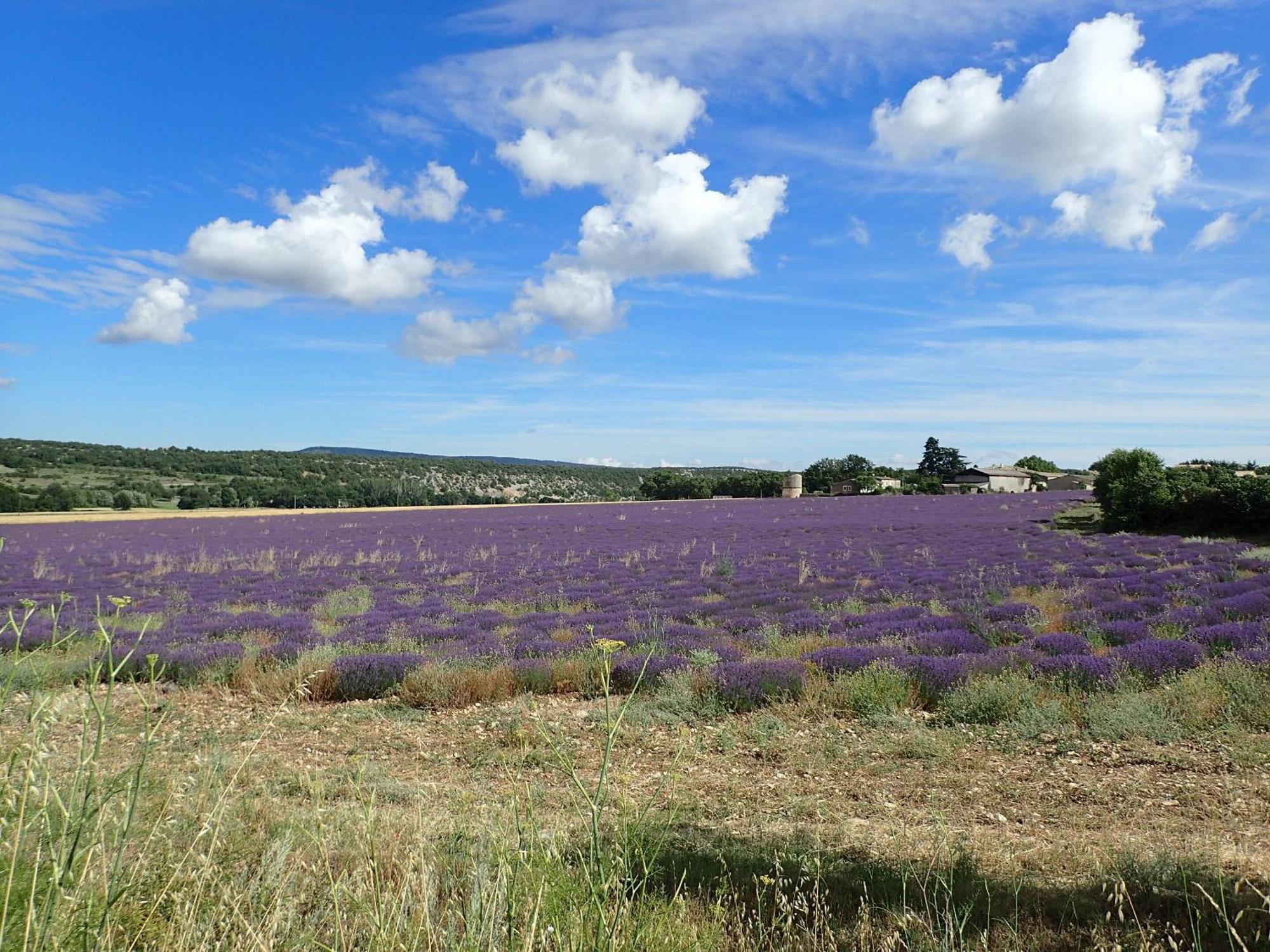 Gite De L'Aspa Saint-Christol  エクステリア 写真